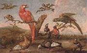 unknow artist A river landscape with parrots and other birds oil painting reproduction